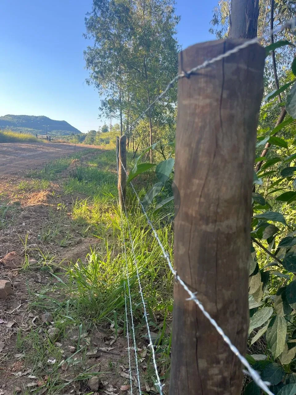Imagens do imóveis Fazenda/Sítios/Chácaras À Venda Sítio Arroio Do Alto Tamarana