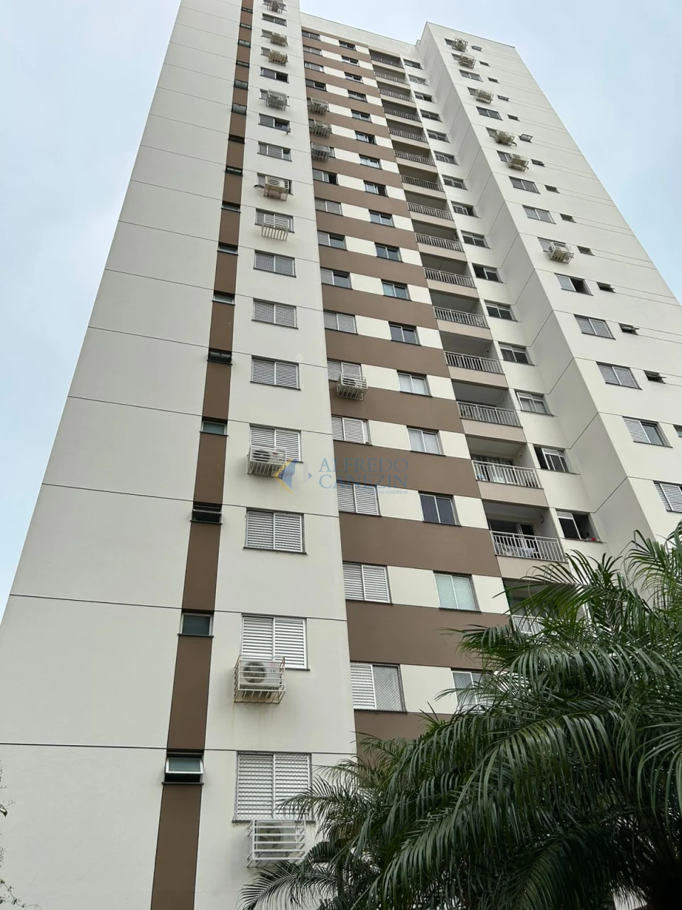 Apartamento Para Alugar Garden Belvedere Londrina