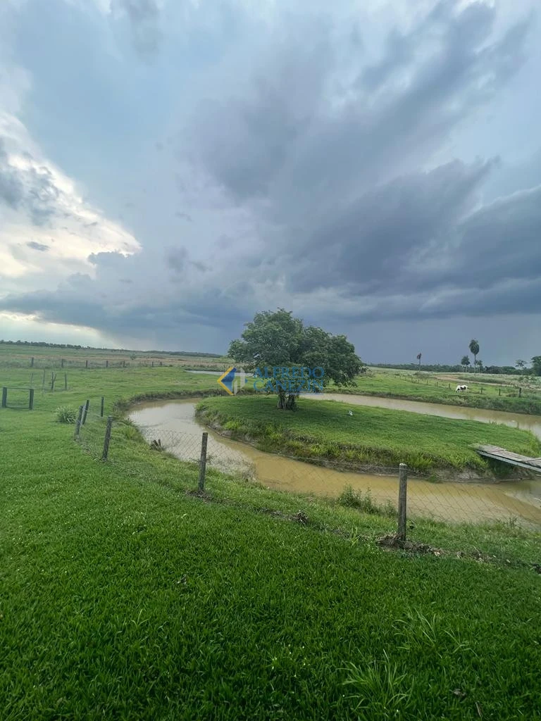 Fazenda em Tapira/PR com 247 alqueires, plantando 172 alq, beira do Rio Ivaí