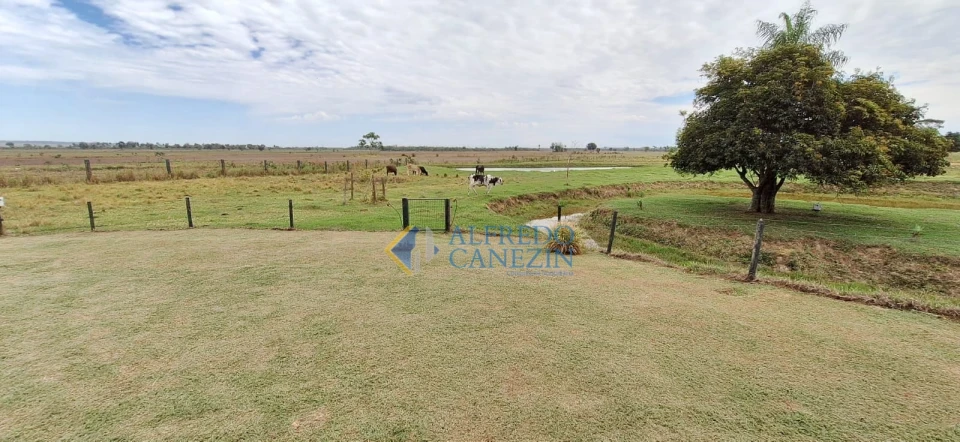 Fazenda em Tapira/PR com 247 alqueires, plantando 172 alq, beira do Rio Ivaí
