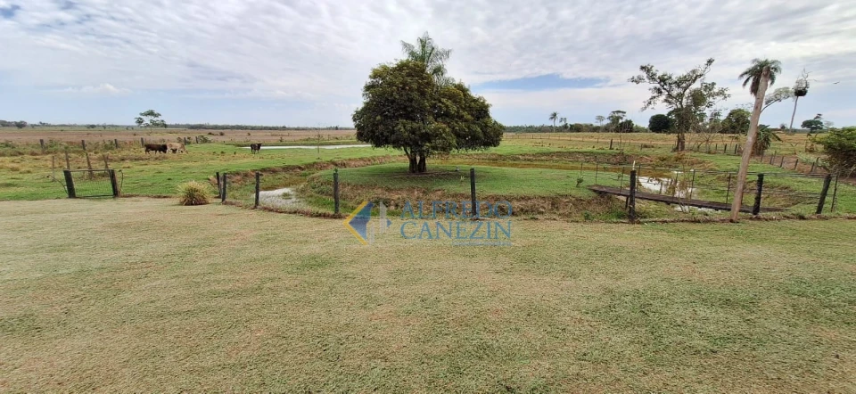 Fazenda em Tapira/PR com 247 alqueires, plantando 172 alq, beira do Rio Ivaí