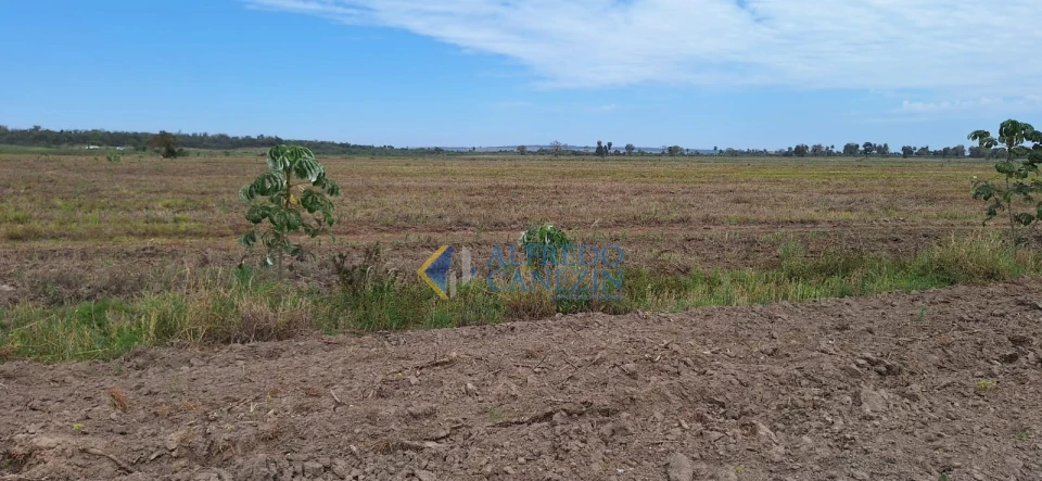 Fazenda em Tapira/PR com 247 alqueires, plantando 172 alq, beira do Rio Ivaí