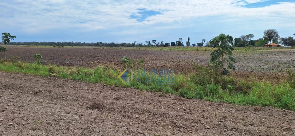 Fazenda em Tapira/PR com 247 alqueires, plantando 172 alq, beira do Rio Ivaí