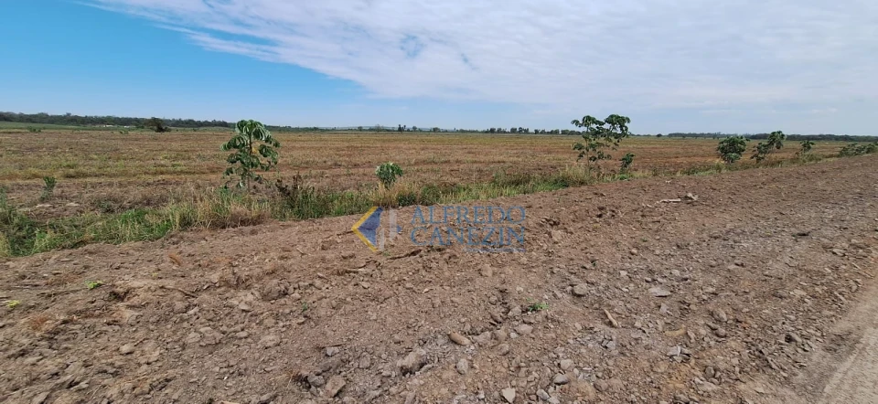 Fazenda em Tapira/PR com 247 alqueires, plantando 172 alq, beira do Rio Ivaí