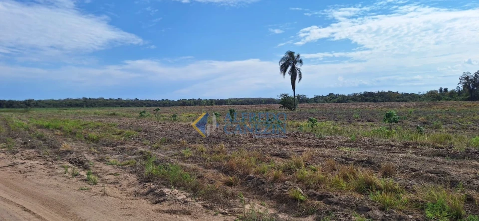 Fazenda em Tapira/PR com 247 alqueires, plantando 172 alq, beira do Rio Ivaí