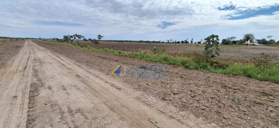 Fazenda em Tapira/PR com 247 alqueires, plantando 172 alq, beira do Rio Ivaí