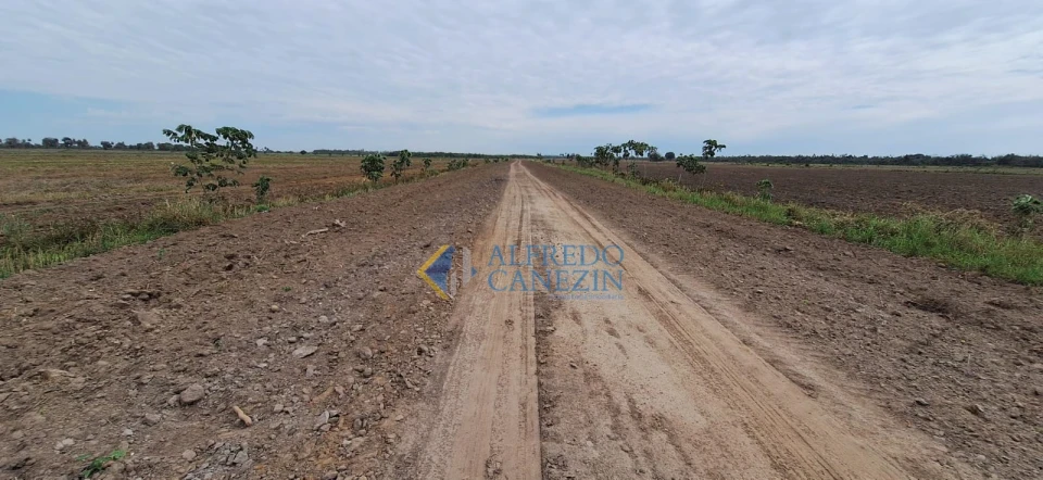 Fazenda em Tapira/PR com 247 alqueires, plantando 172 alq, beira do Rio Ivaí