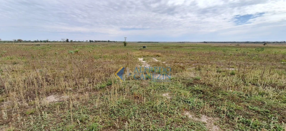 Fazenda em Tapira/PR com 247 alqueires, plantando 172 alq, beira do Rio Ivaí