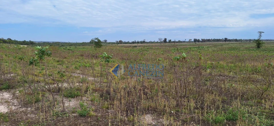 Fazenda em Tapira/PR com 247 alqueires, plantando 172 alq, beira do Rio Ivaí