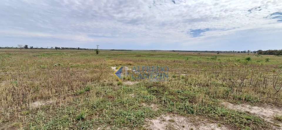 Fazenda em Tapira/PR com 247 alqueires, plantando 172 alq, beira do Rio Ivaí