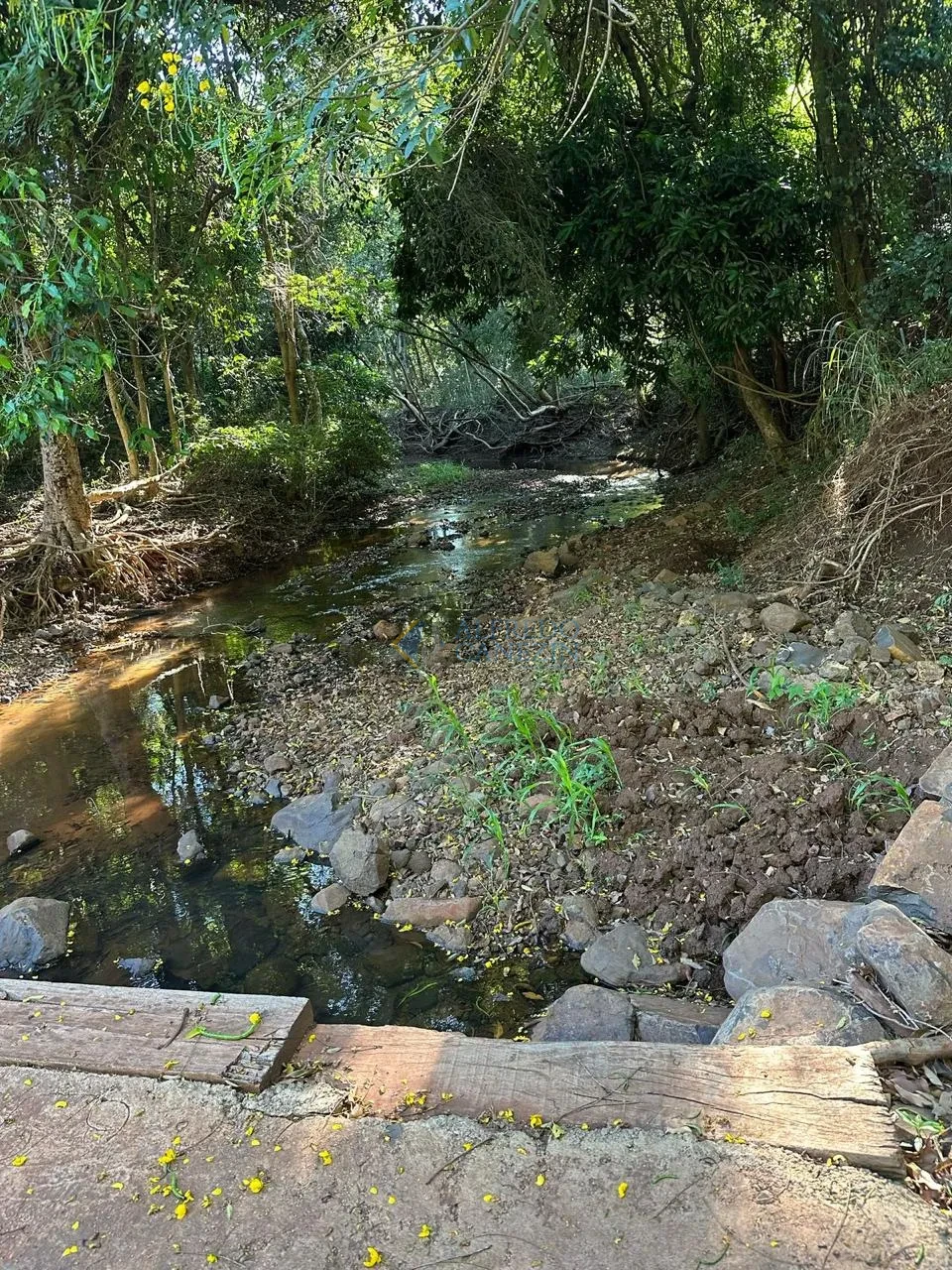 Oportunidade Rural no Paraná: Sítio de 16 Alqueires Pronto para Plantio e com Renda Ativa!