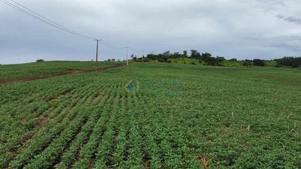 Oportunidade Rural no Paraná: Sítio de 16 Alqueires Pronto para Plantio e com Renda Ativa!