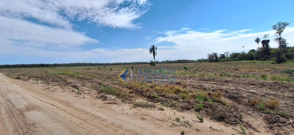 Fazenda em Tapira/PR com 247 alqueires, plantando 172 alq, beira do Rio Ivaí