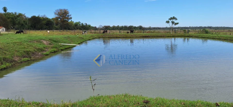 Fazenda em Tapira/PR com 247 alqueires, plantando 172 alq, beira do Rio Ivaí