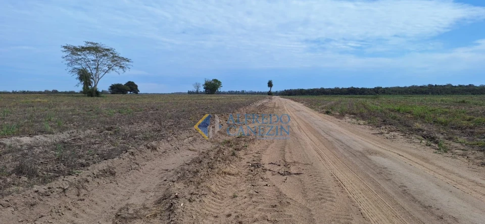 Fazenda em Tapira/PR com 247 alqueires, plantando 172 alq, beira do Rio Ivaí