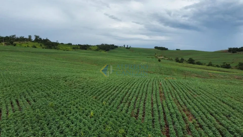 Oportunidade Rural no Paraná: Sítio de 16 Alqueires Pronto para Plantio e com Renda Ativa!