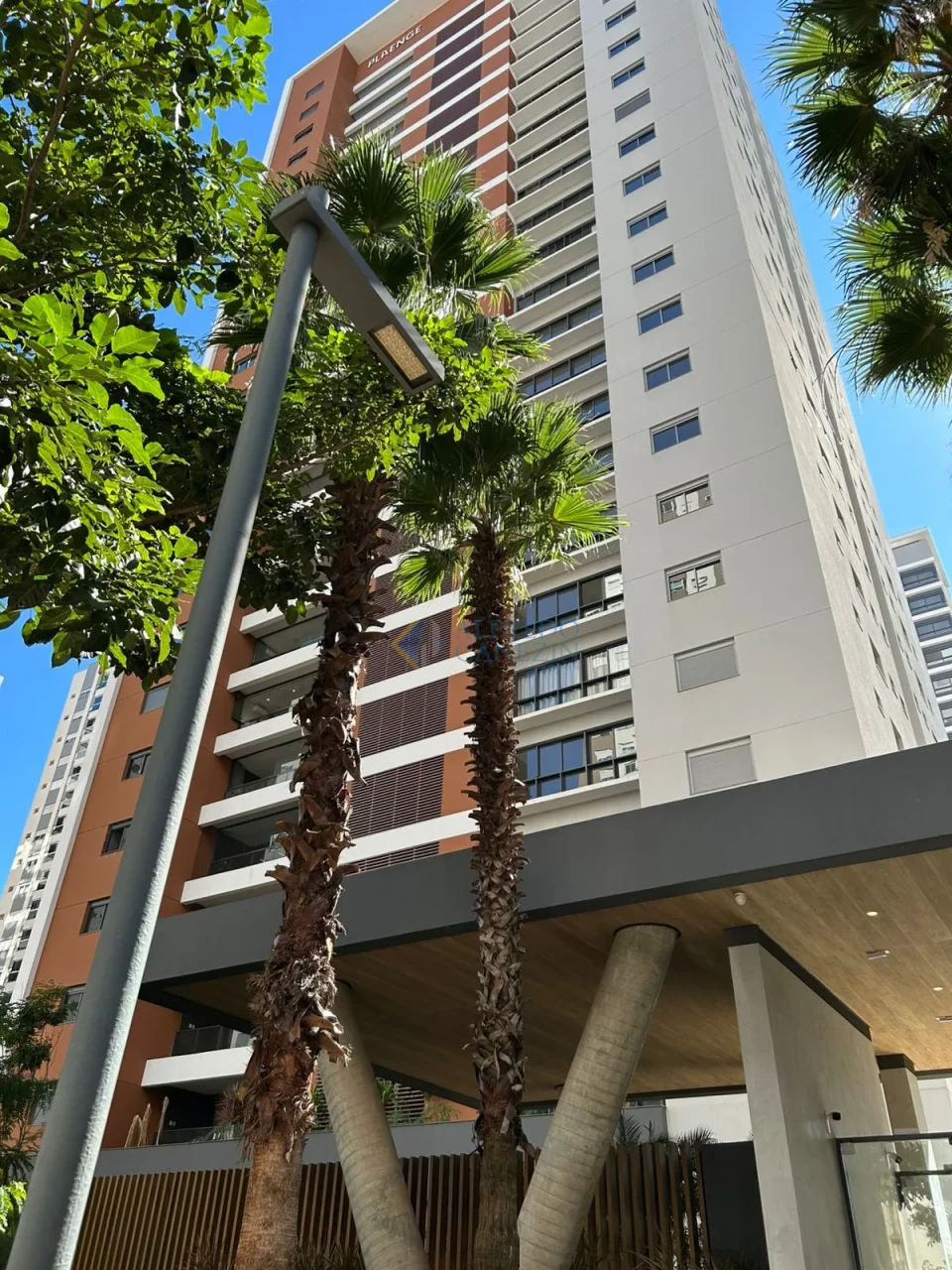 Descubra o Arbo e Flora: O Alto da Palhano por um Novo Olhar