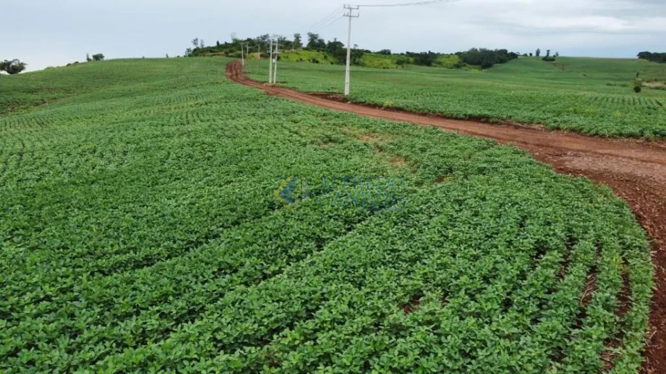 Oportunidade Rural no Paraná: Sítio de 16 Alqueires Pronto para Plantio e com Renda Ativa!