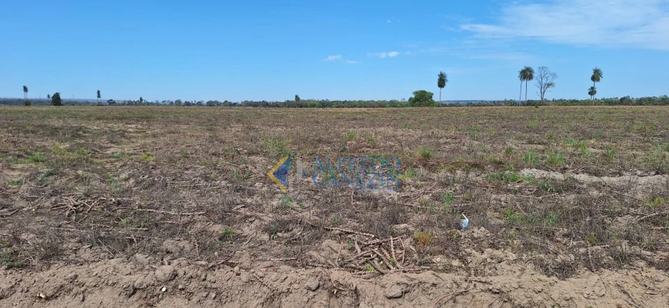 Fazenda em Tapira/PR com 247 alqueires, plantando 172 alq, beira do Rio Ivaí