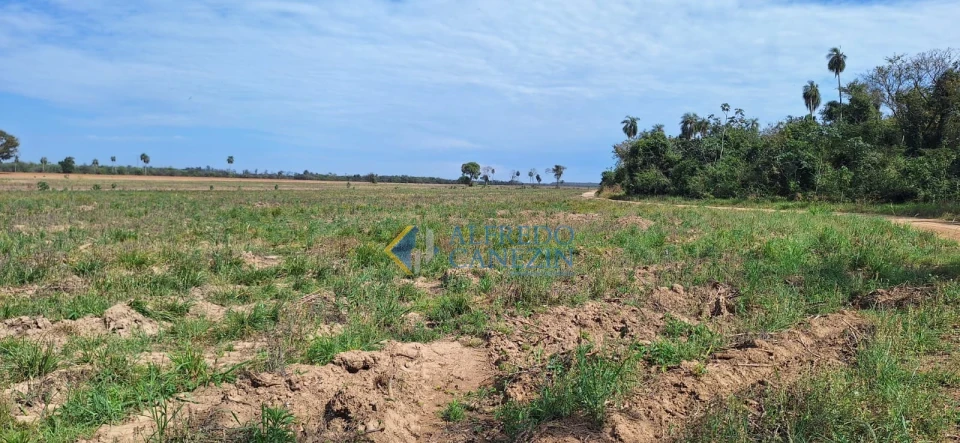 Fazenda em Tapira/PR com 247 alqueires, plantando 172 alq, beira do Rio Ivaí