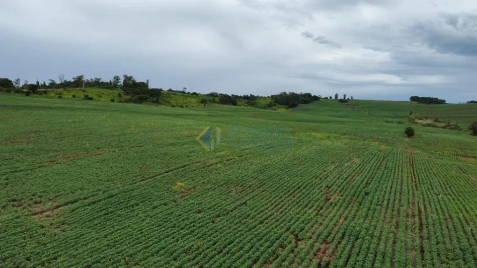 Oportunidade Rural no Paraná: Sítio de 16 Alqueires Pronto para Plantio e com Renda Ativa!