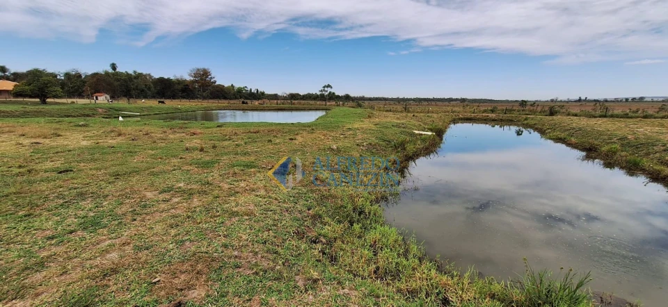 Fazenda em Tapira/PR com 247 alqueires, plantando 172 alq, beira do Rio Ivaí