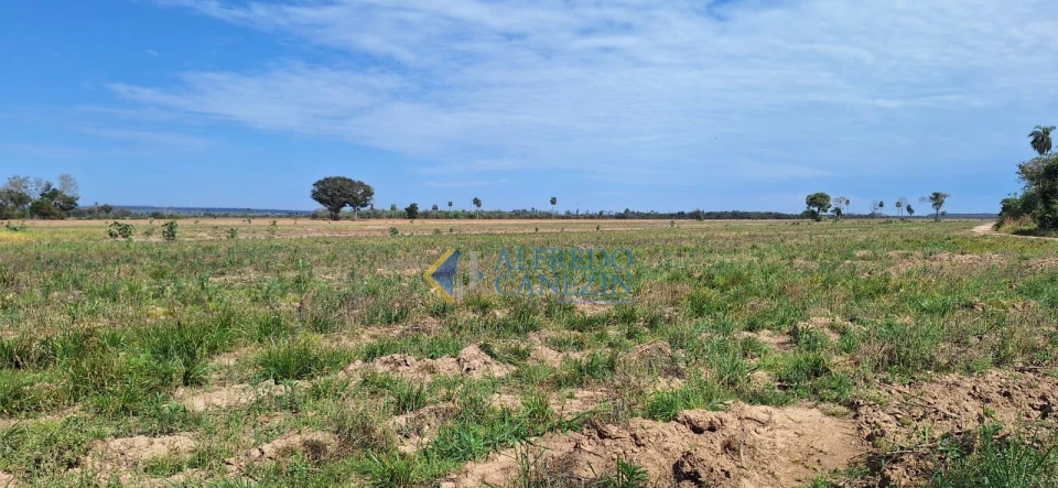 Fazenda em Tapira/PR com 247 alqueires, plantando 172 alq, beira do Rio Ivaí