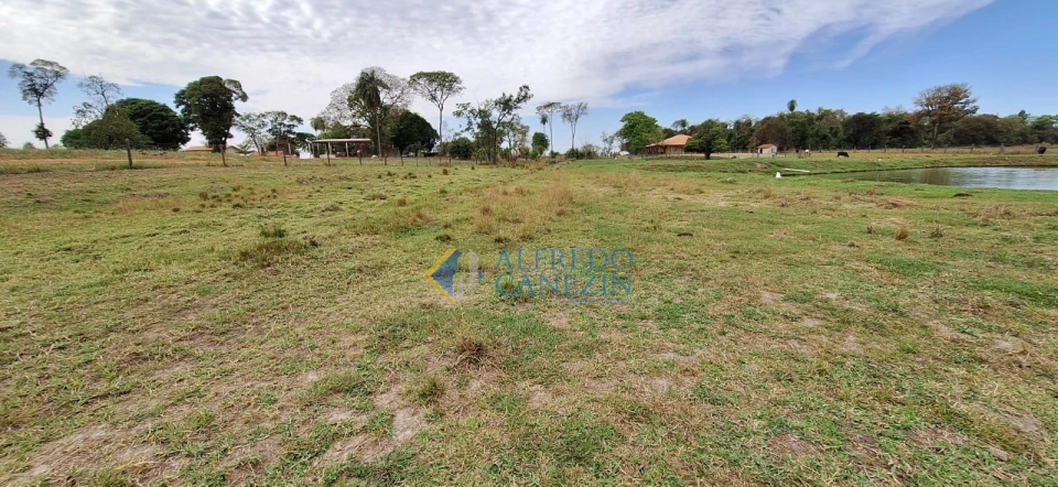 Fazenda em Tapira/PR com 247 alqueires, plantando 172 alq, beira do Rio Ivaí