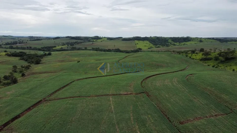 Oportunidade Rural no Paraná: Sítio de 16 Alqueires Pronto para Plantio e com Renda Ativa!