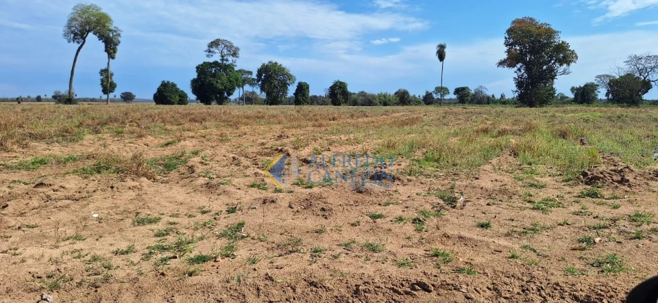 Fazenda em Tapira/PR com 247 alqueires, plantando 172 alq, beira do Rio Ivaí