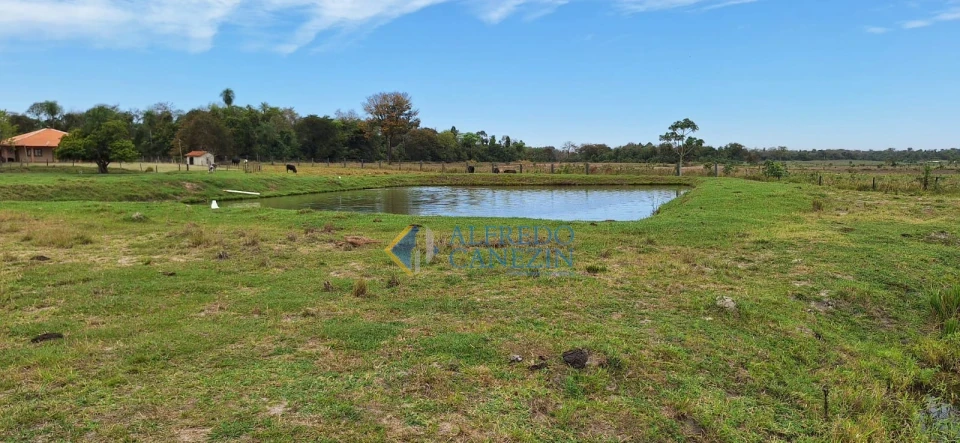 Fazenda em Tapira/PR com 247 alqueires, plantando 172 alq, beira do Rio Ivaí