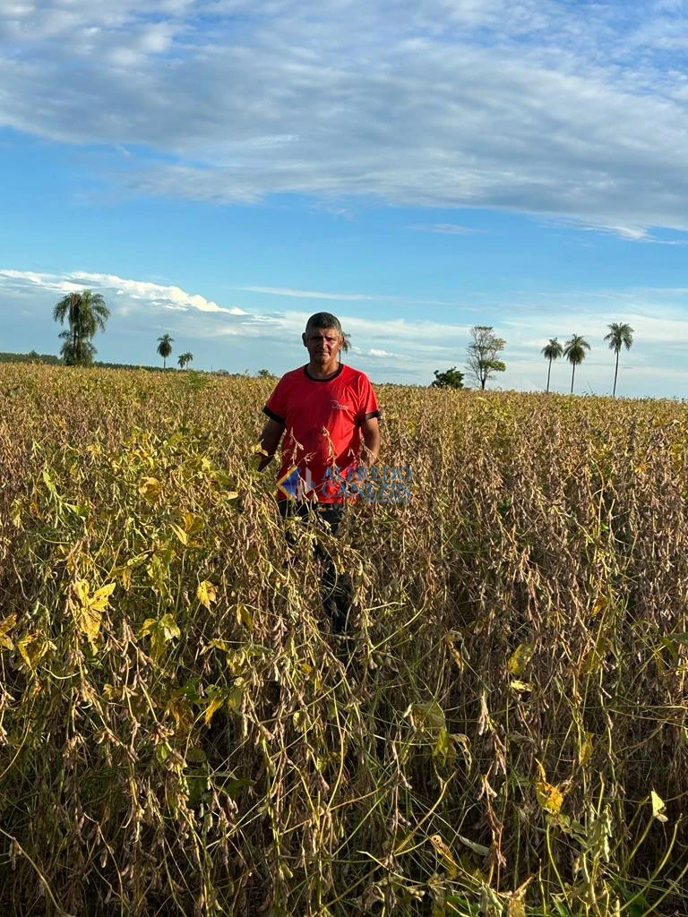 Fazenda em Tapira/PR com 247 alqueires, plantando 172 alq, beira do Rio Ivaí