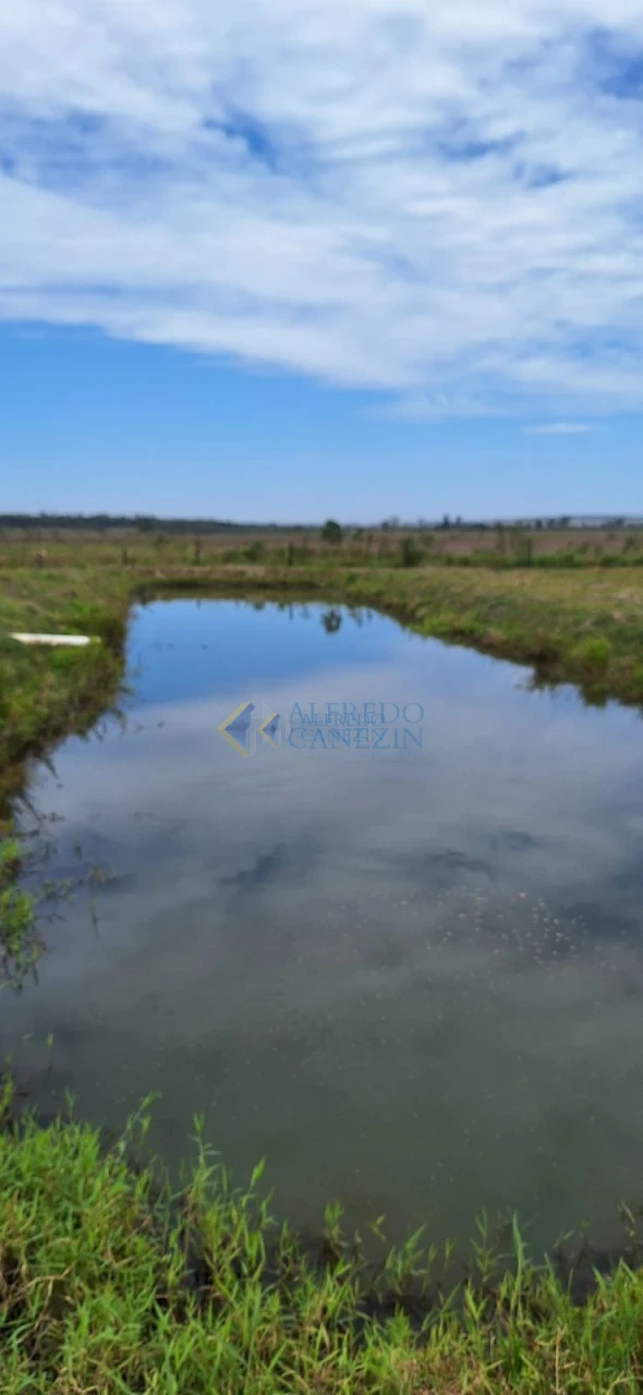 Fazenda em Tapira/PR com 247 alqueires, plantando 172 alq, beira do Rio Ivaí