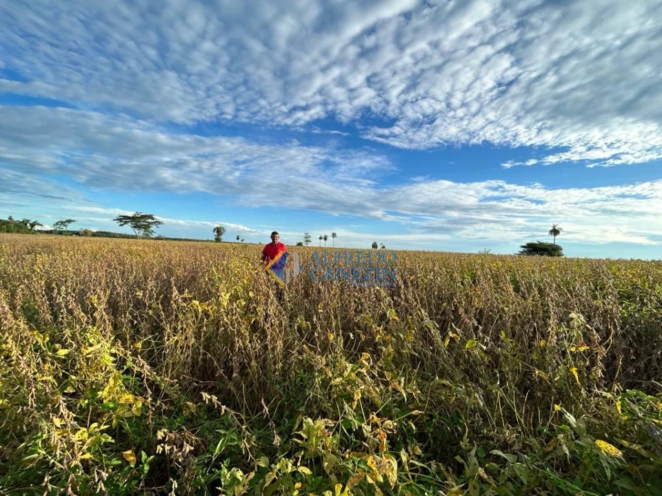 Fazenda em Tapira/PR com 247 alqueires, plantando 172 alq, beira do Rio Ivaí