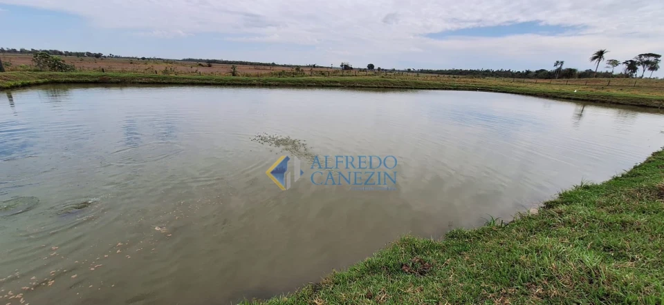 Fazenda em Tapira/PR com 247 alqueires, plantando 172 alq, beira do Rio Ivaí