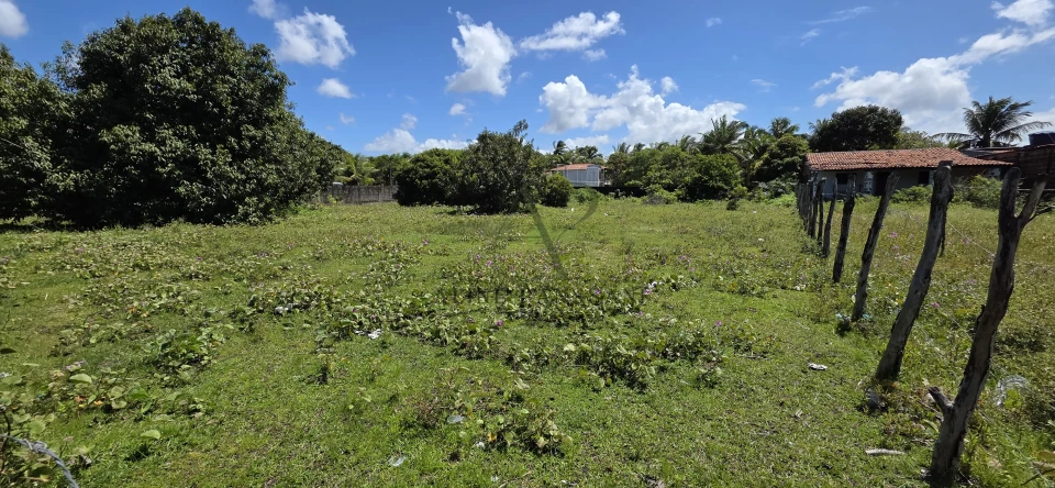 Imagens do imóveis TERRENO À VENDA EM LUCENA , 2.120m², PLANO