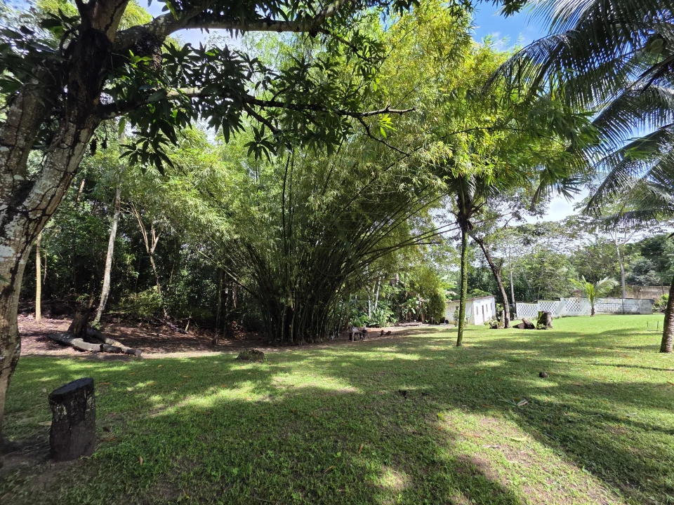 Imagens do imóveis TERRENO/GRANJA PRÓXIMO AO LITORAL SUL, NO CONDE PARA VENDA
