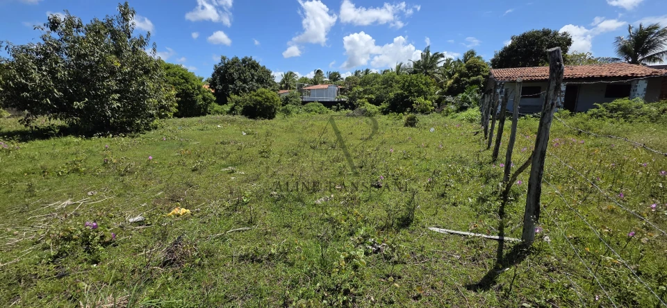 Imagens do imóveis TERRENO À VENDA EM LUCENA , 2.120m², PLANO