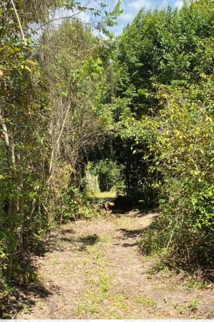Imagens do imóveis TERRENO/GRANJA PRÓXIMO AO LITORAL SUL, NO CONDE PARA VENDA