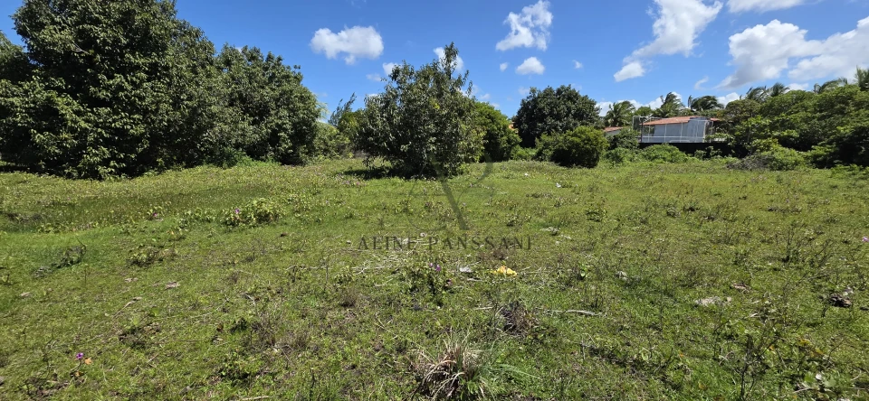 Imagens do imóveis TERRENO À VENDA EM LUCENA , 2.120m², PLANO