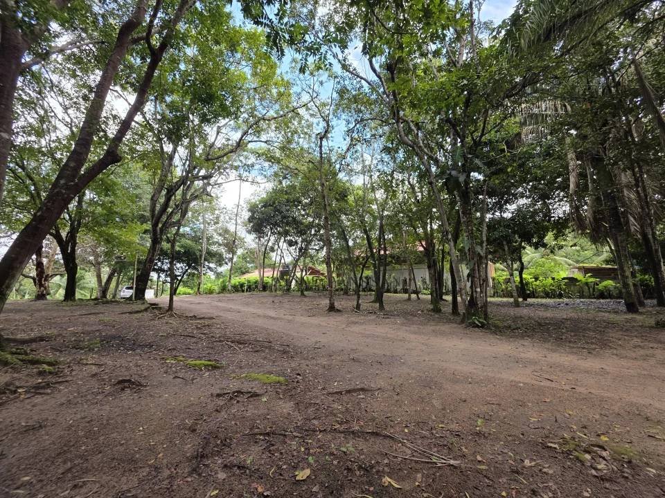 Imagens do imóveis TERRENO/GRANJA PRÓXIMO AO LITORAL SUL, NO CONDE PARA VENDA
