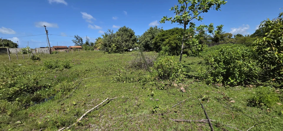 Imagens do imóveis TERRENO À VENDA EM LUCENA , 2.120m², PLANO