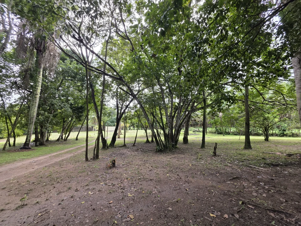 Imagens do imóveis TERRENO/GRANJA PRÓXIMO AO LITORAL SUL, NO CONDE PARA VENDA