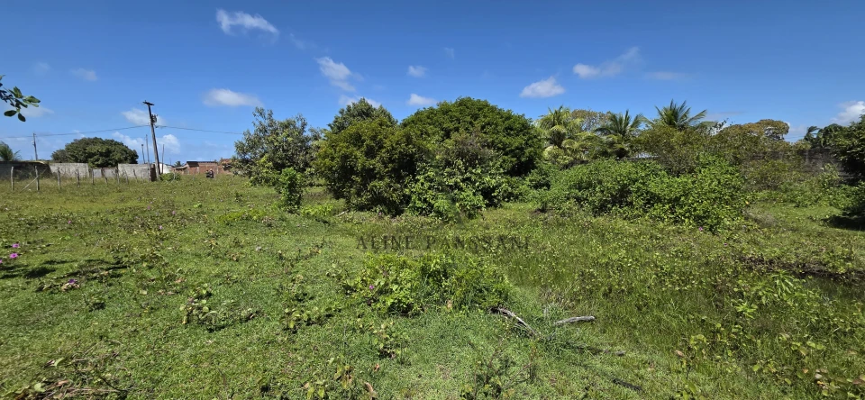 Imagens do imóveis TERRENO À VENDA EM LUCENA , 2.120m², PLANO