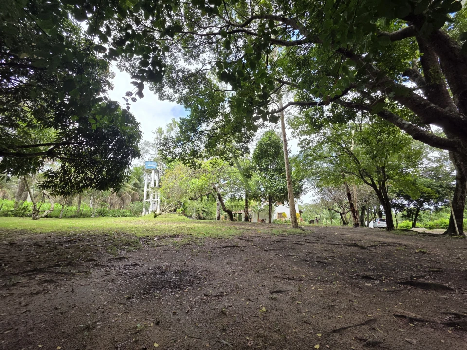 Imagens do imóveis TERRENO/GRANJA PRÓXIMO AO LITORAL SUL, NO CONDE PARA VENDA