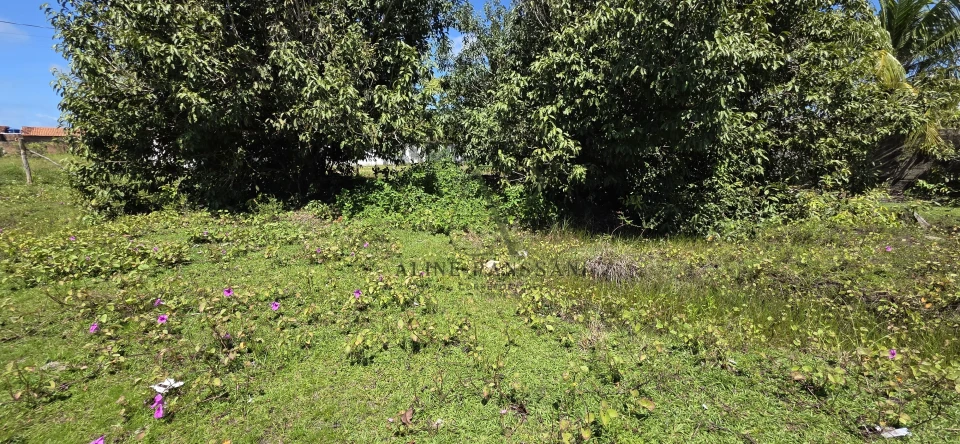 Imagens do imóveis TERRENO À VENDA EM LUCENA , 2.120m², PLANO