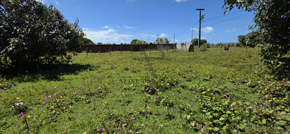 Imagens do imóveis TERRENO À VENDA EM LUCENA , 2.120m², PLANO