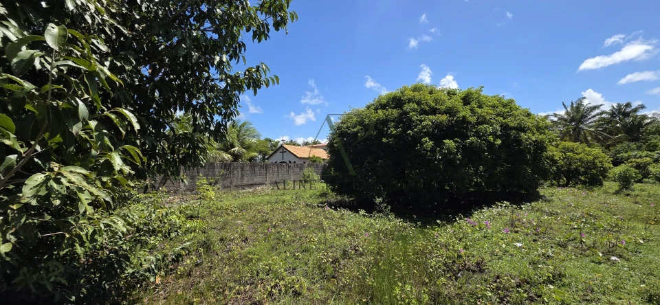 Imagens do imóveis TERRENO À VENDA EM LUCENA , 2.120m², PLANO