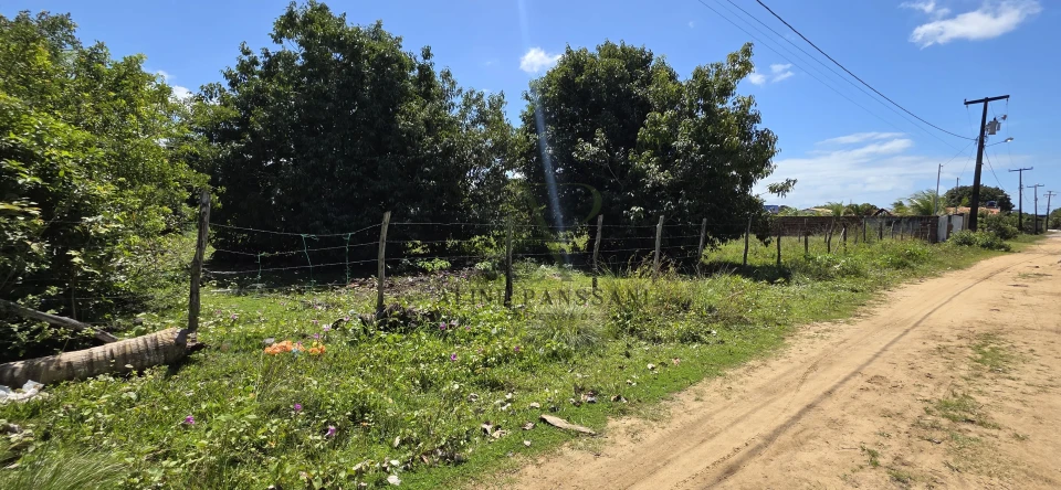 Imagens do imóveis TERRENO À VENDA EM LUCENA , 2.120m², PLANO