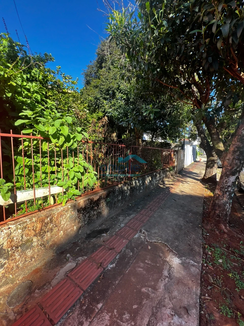 TERRENO PARA INVESTIMENTO EM REGIÃO PRIVILEGIADA - GUANABARA - LONDRINA.
